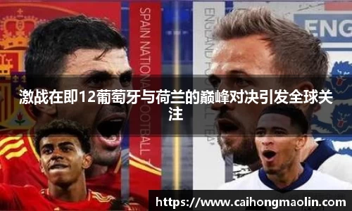 激战在即12葡萄牙与荷兰的巅峰对决引发全球关注